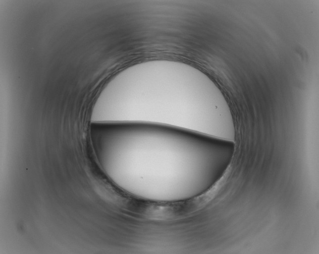 X0000111350174200907100942