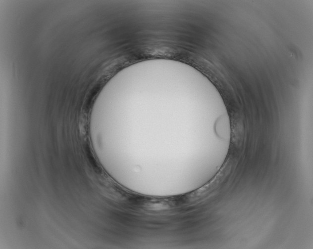 X0000111350175200907100942