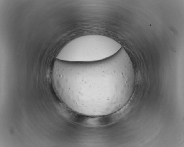 X0000111350178200907100942