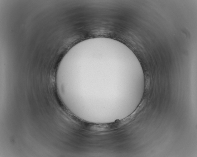 X0000111350179200907100942