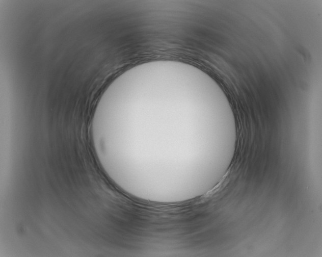 X0000111350180200907100942