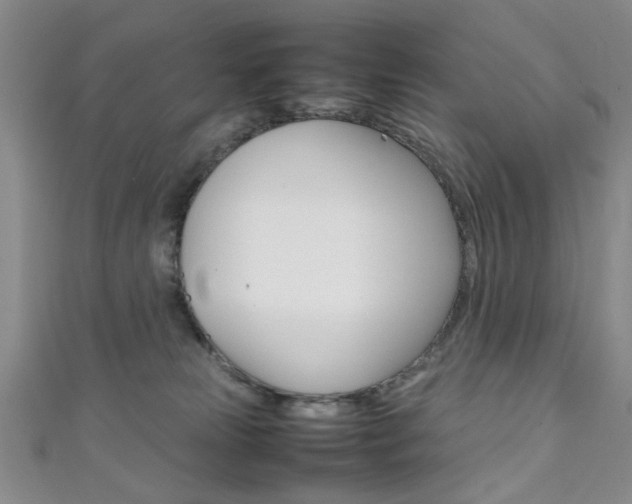 X0000111350181200907100942