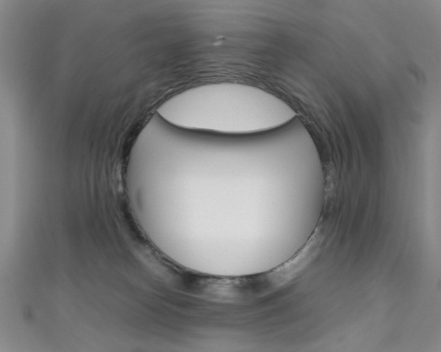 X0000111350182200907100942