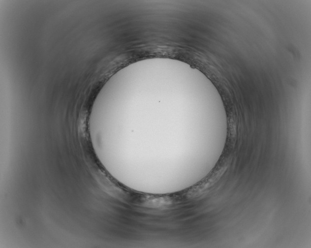 X0000111350185200907100942