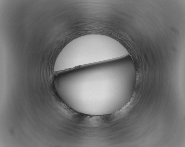 X0000111350186200907100942