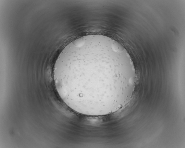 X0000111350187200907100942