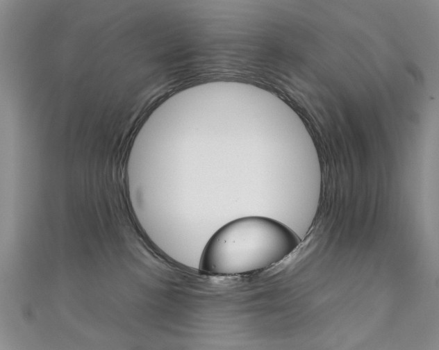 X0000111350188200907100942