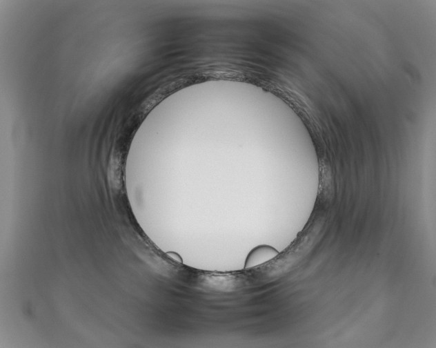 X0000111350189200907100942