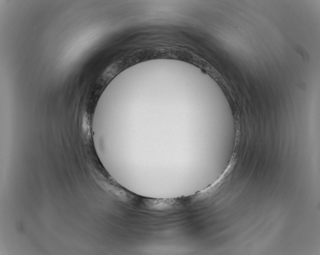 X0000111350191200907100942