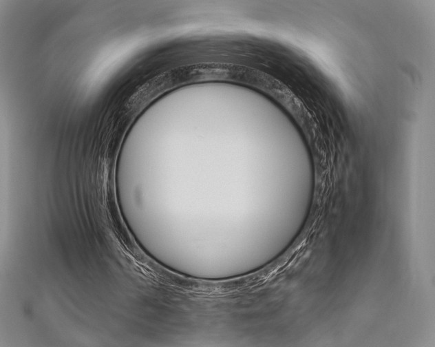 X0000111350194200907100942