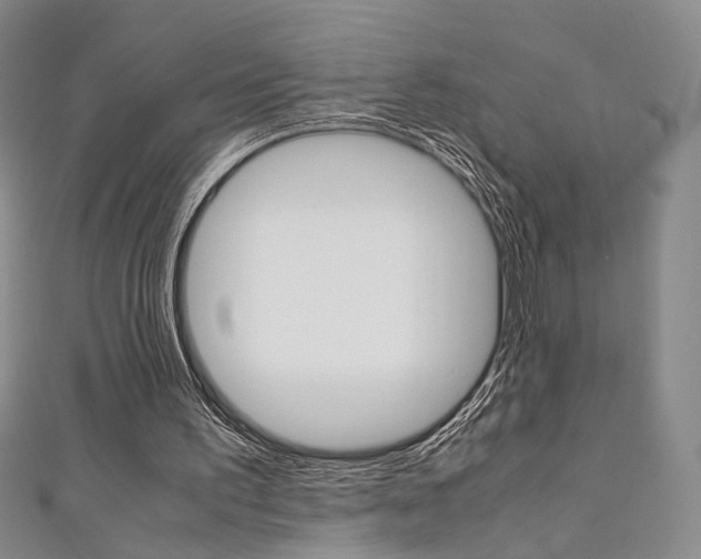 X0000111350195200907100942