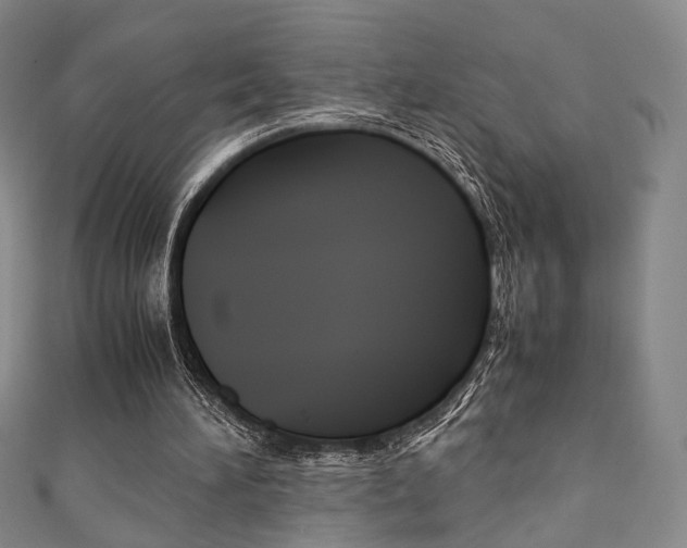 X0000111350196200907100942
