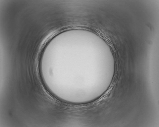 X0000111350197200907100942