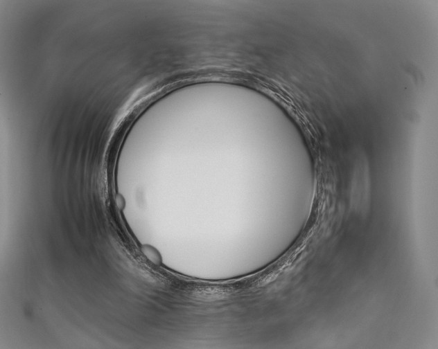 X0000111350198200907100942