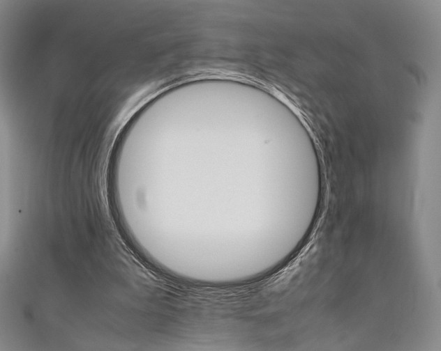 X0000111350199200907100942