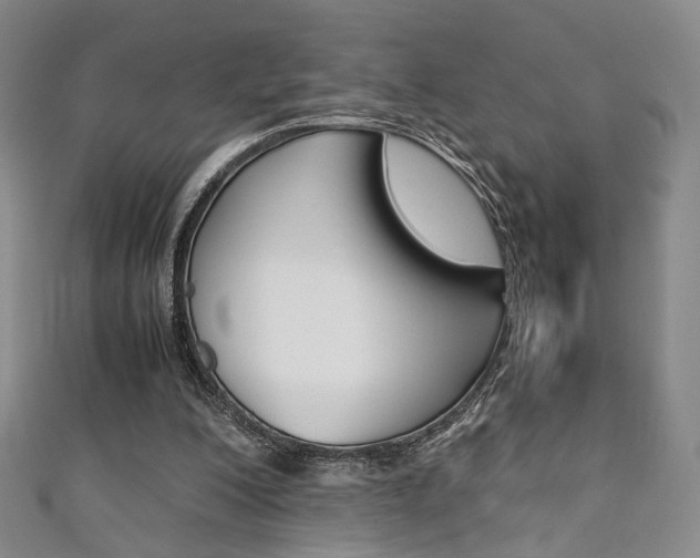 X0000111350200200907100942