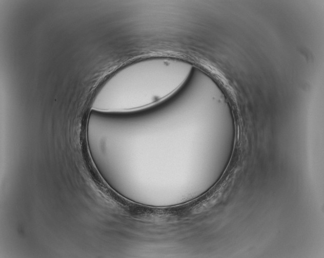 X0000111350201200907100942