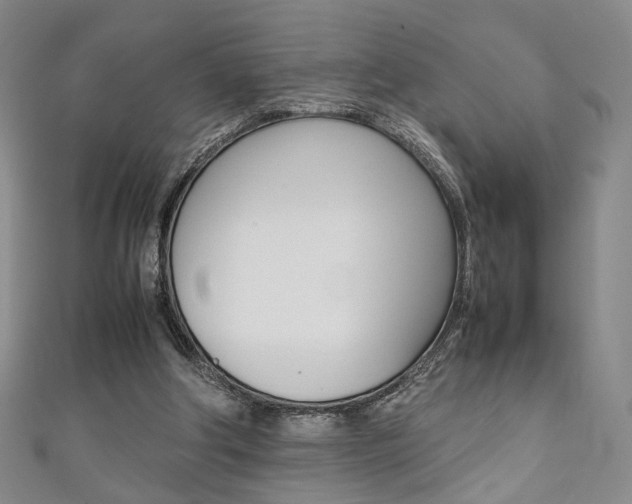 X0000111350202200907100942