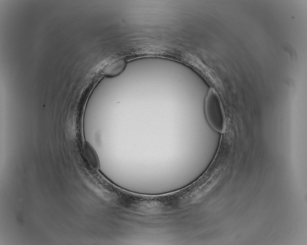 X0000111350203200907100942