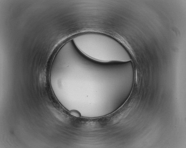 X0000111350204200907100942