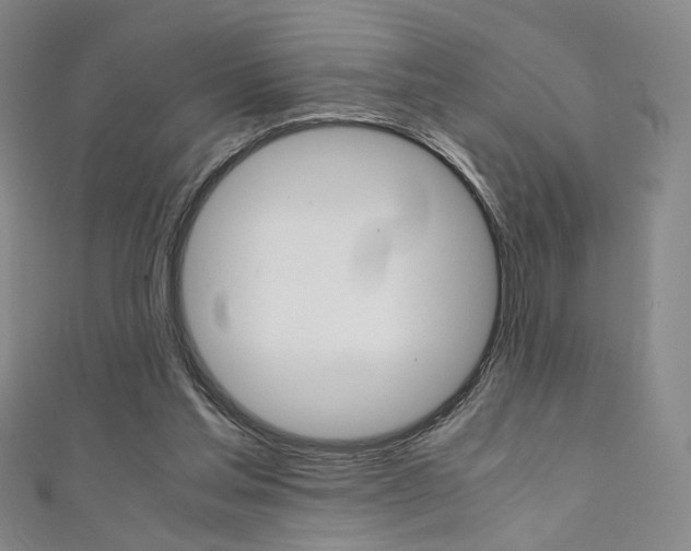 X0000111350205200907100942
