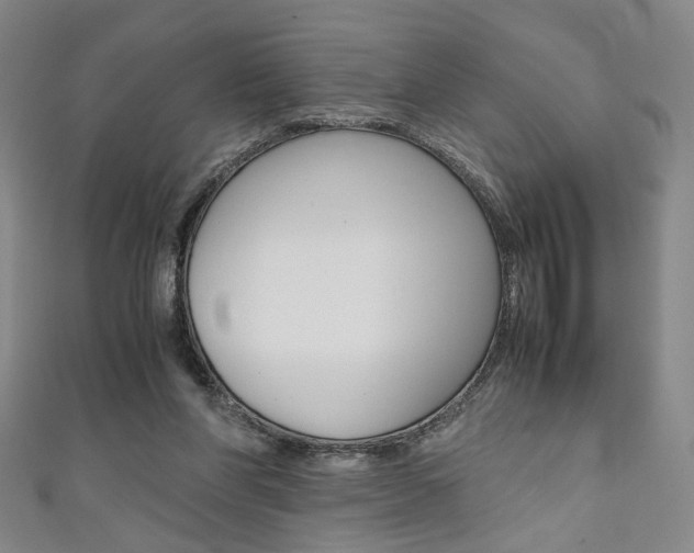 X0000111350206200907100942