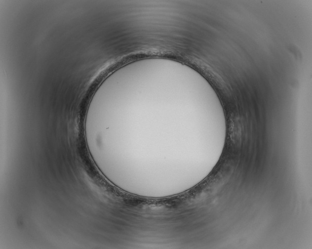 X0000111350208200907100942