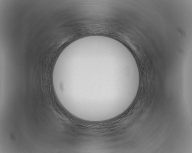 X0000111350211200907100941