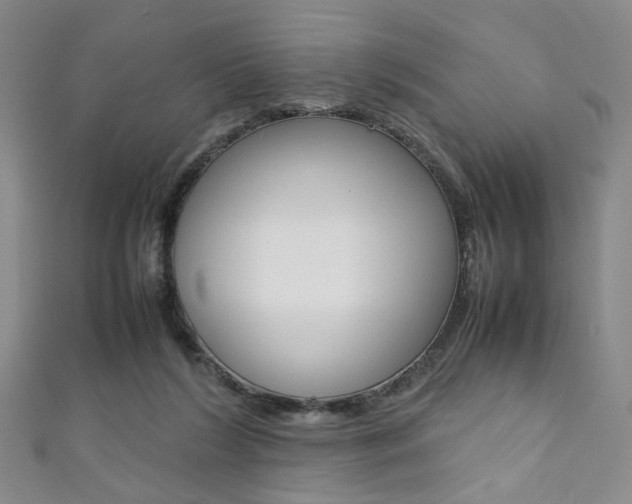 X0000111350212200907100941