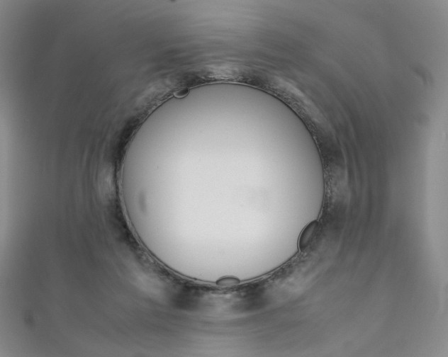 X0000111350213200907100941