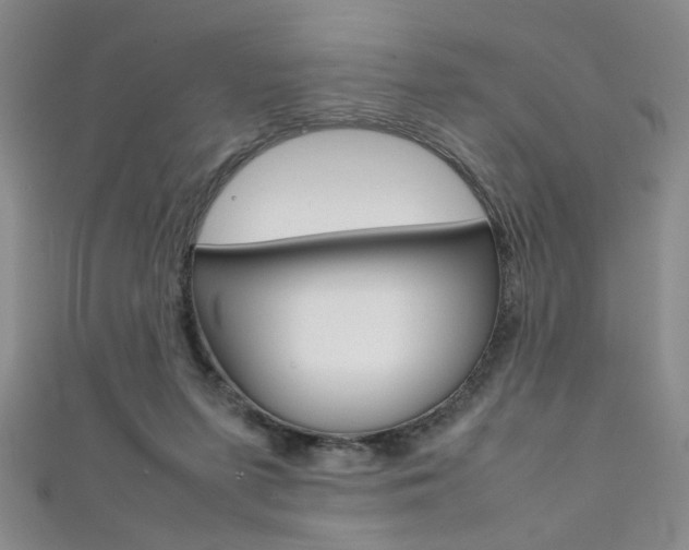 X0000111350215200907100941