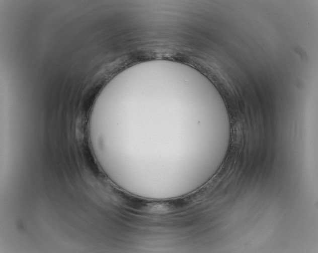 X0000111350218200907100941