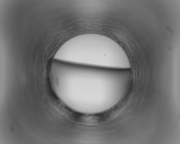 X0000111350221200907100941