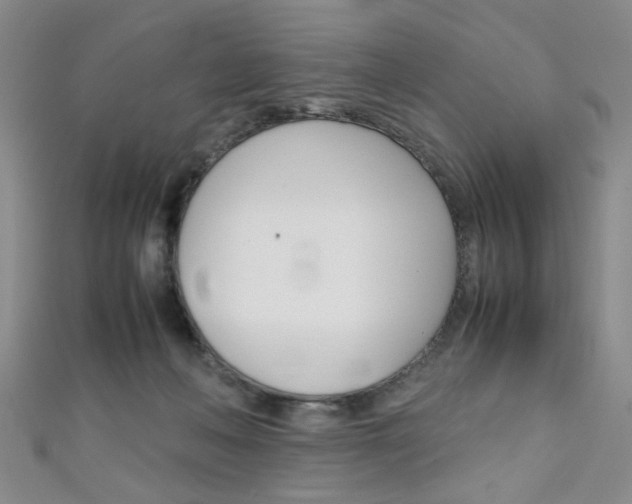 X0000111350222200907100941
