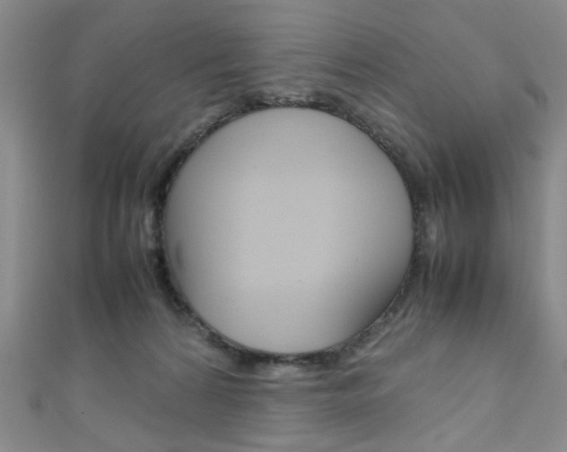 X0000111350224200907100941