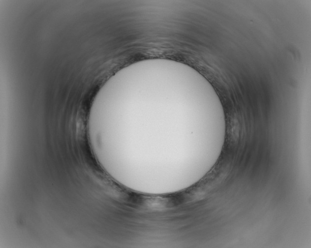 X0000111350226200907100941