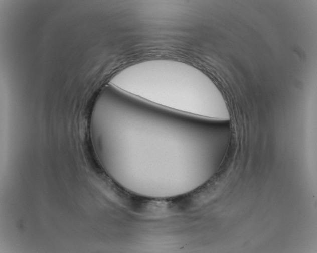 X0000111350227200907100941