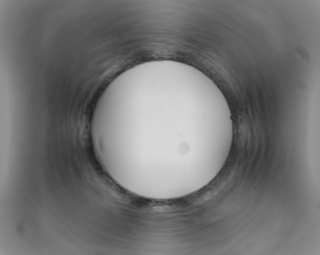 X0000111350228200907100941