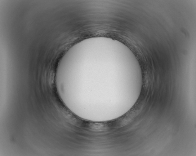 X0000111350230200907100941