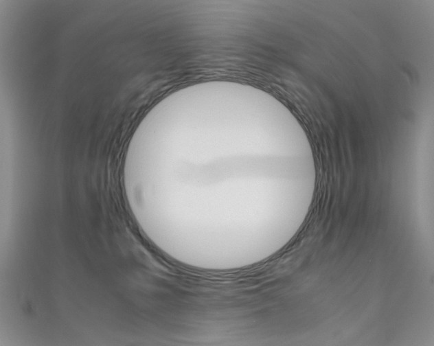 X0000111350231200907100941
