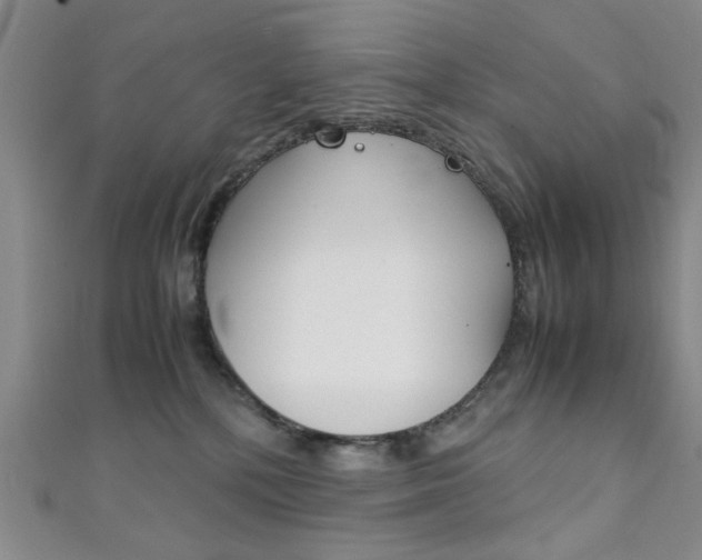 X0000111350232200907100941
