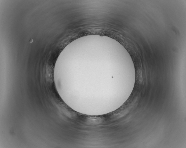 X0000111350234200907100941