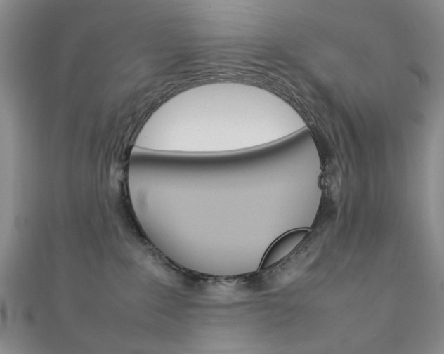 X0000111350235200907100941