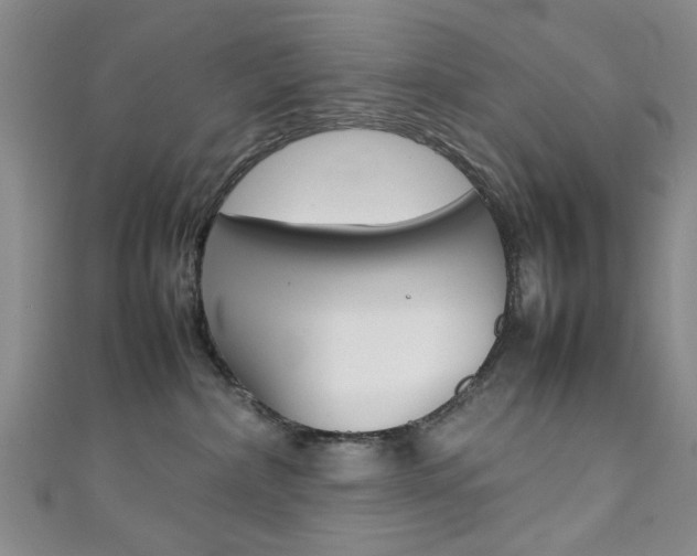 X0000111350236200907100941