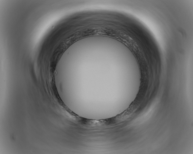 X0000111350239200907100941