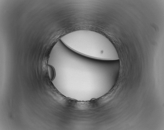 X0000111350240200907100941
