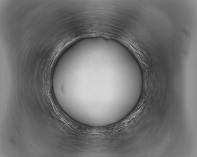 X0000111350241200907100940