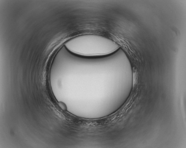 X0000111350243200907100941