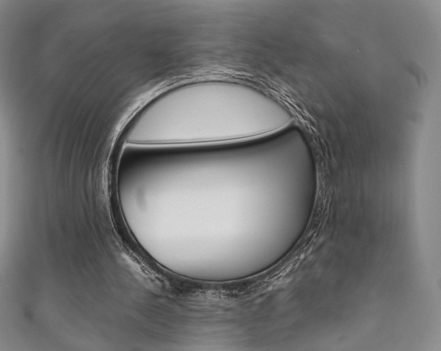 X0000111350244200907100941