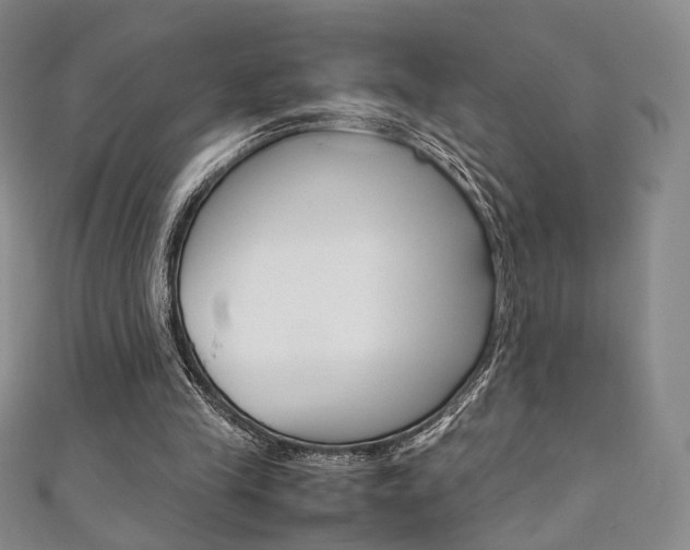 X0000111350245200907100941